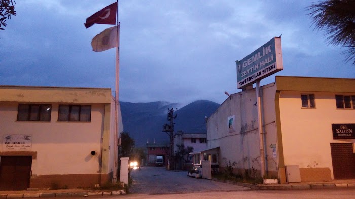 Gemlik Zeytin Hali firmalarımız Gemlik Zeytin Hali firmalarımız