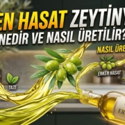 Erken Hasat Zeytinyağı Nedir ve Nasıl Üretilir Erken Hasat Zeytinyağı Nedir ve Nasıl Üretilir