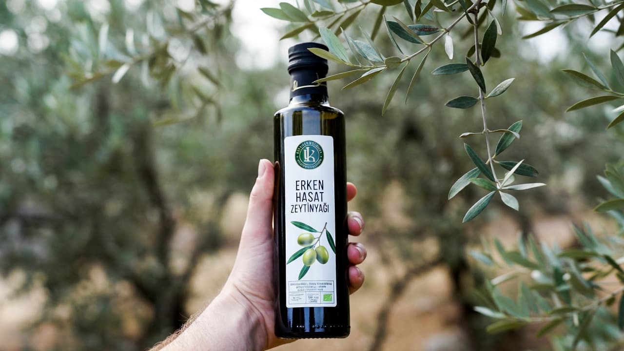 Erken Hasat Zeytinyağı Nedir ve Nasıl Üretilir Kapsamlı Rehber