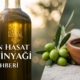 Erken Hasat Zeytinyağı Rehberi