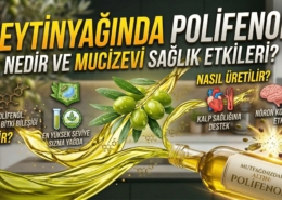 Zeytinyağında Polifenol Nedir? Sağlığa Mucizevi Etkileri