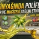 Zeytinyağında Polifenol Nedir? Sağlığa Mucizevi Etkileri