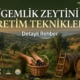 Gemlik Zeytini Üretim Teknikleri Detaylı Rehber