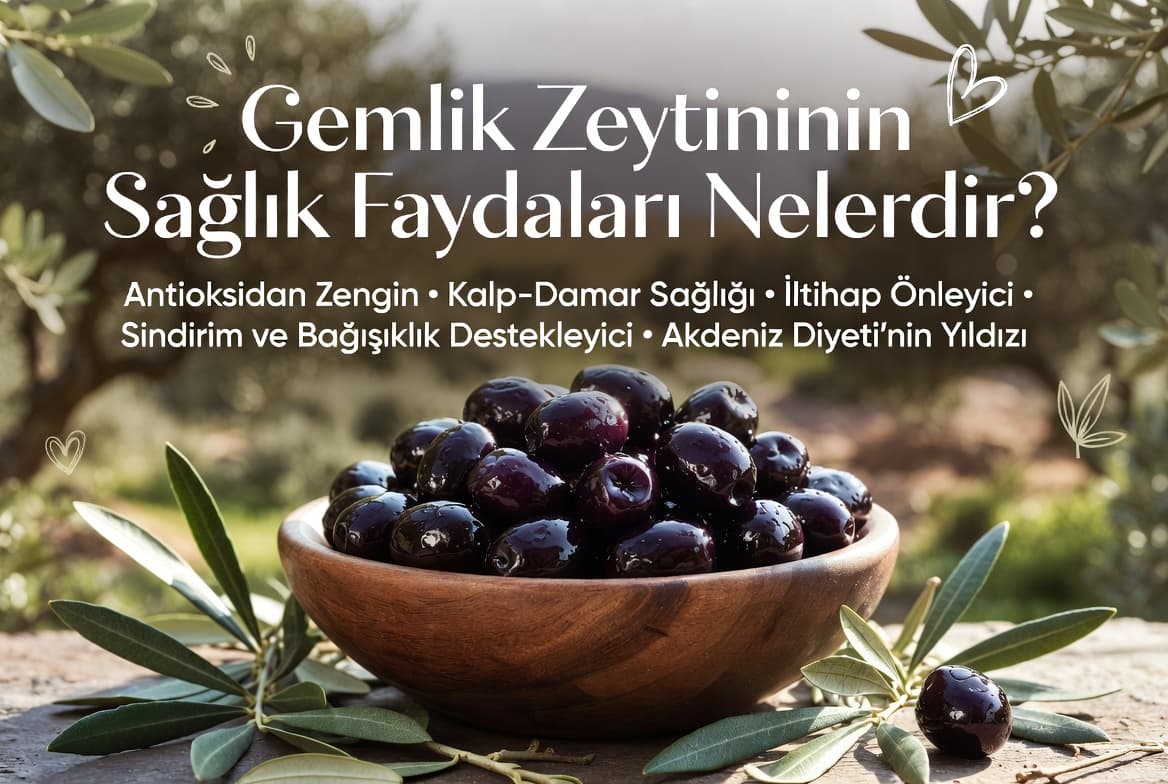 Gemlik Zeytininin Sağlıka Faydaları Nelerdir görsel yap 169