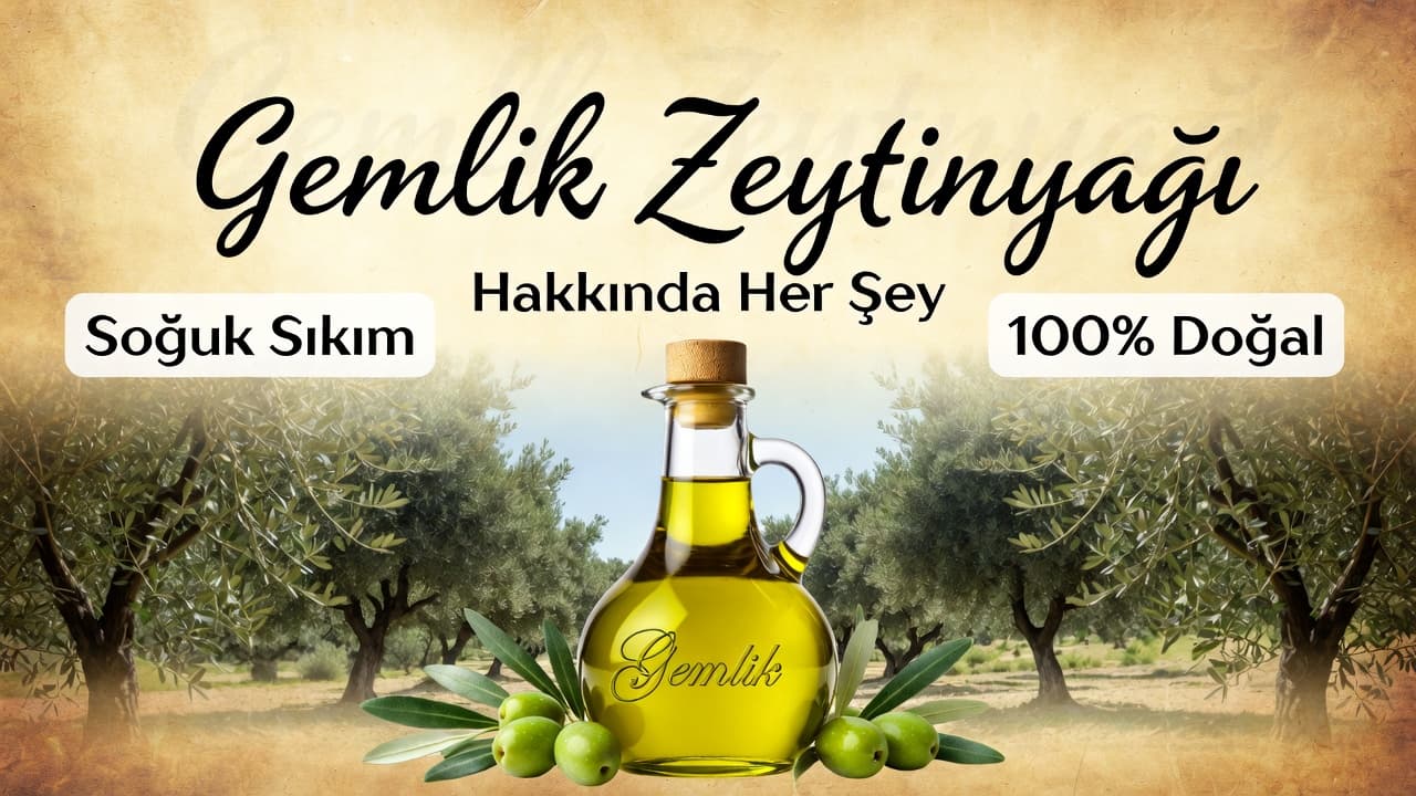 Gemlik Zeytinyağı Hakkında Her Şey