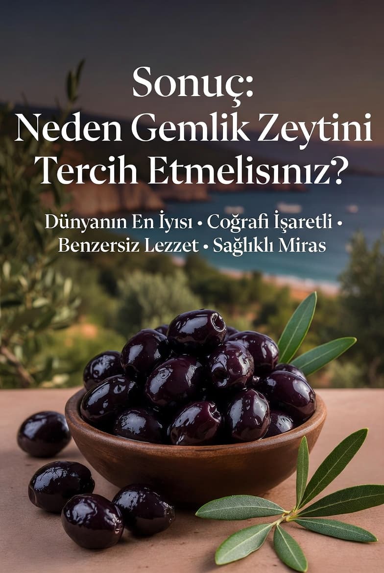 Sonuç Neden Gemlik Zeytini Tercih Etmelisiniz