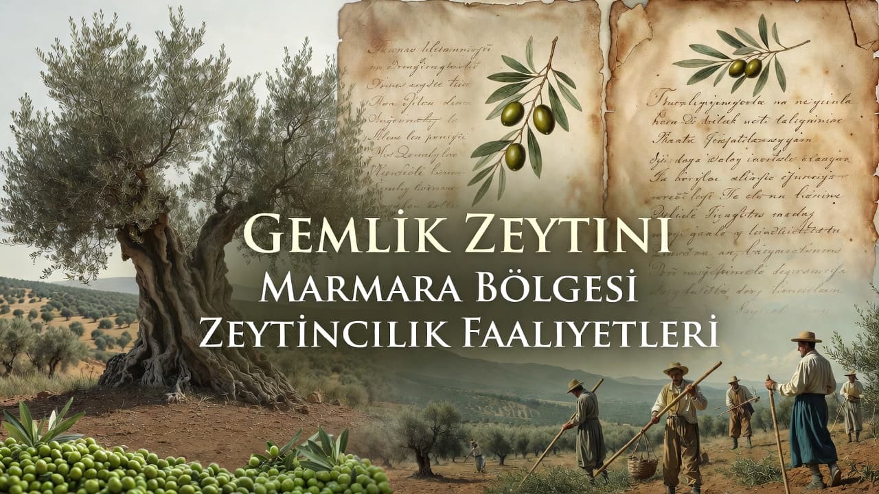 Tarihsel Araştırma Raporu,