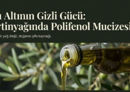Zeytinyağında Polifenol Mucizesi