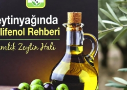 Zeytinyağında Polifenol Rehberi – Gemlik Zeytin Hali