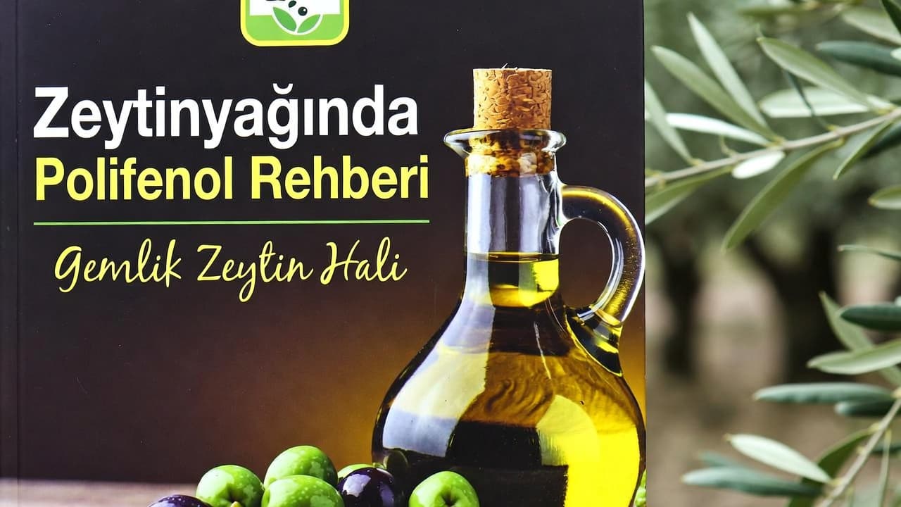 Zeytinyağında Polifenol Rehberi – Gemlik Zeytin Hali